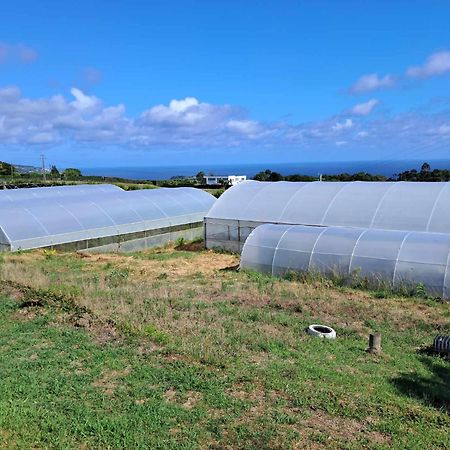 Quinta Do Norte Capelas Ngoại thất bức ảnh